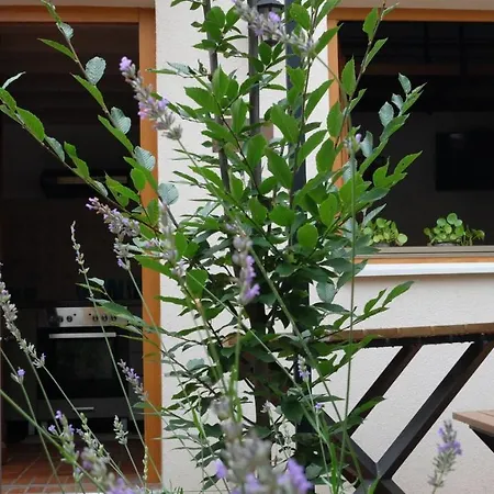 Kompleks Apartmana Superstar23a Soko Banja