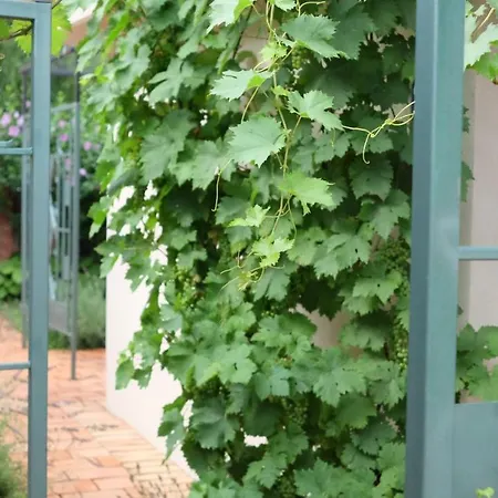 Kompleks Apartmana Superstar23a Daire *