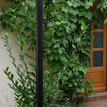 Kompleks Apartmana Superstar23a