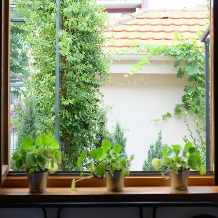 Kompleks Apartmana Superstar23a * Soko Banja