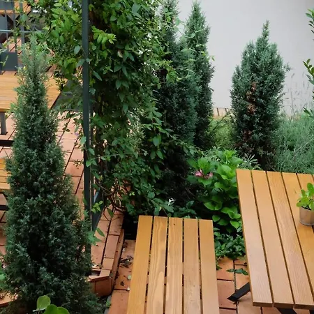 Kompleks Apartmana Superstar23a Soko Banja