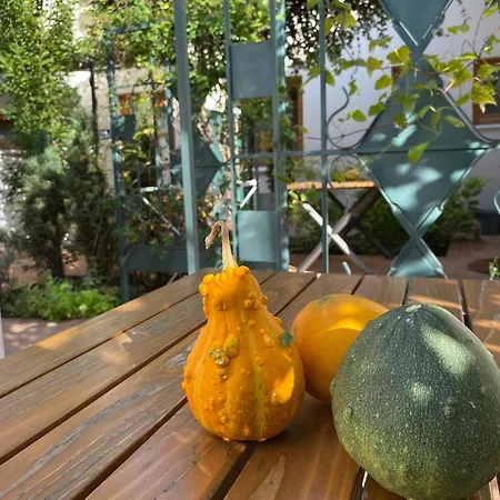 Daire Kompleks Apartmana Superstar23a Soko Banja