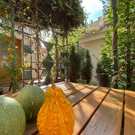 Daire Kompleks Apartmana Superstar23a *