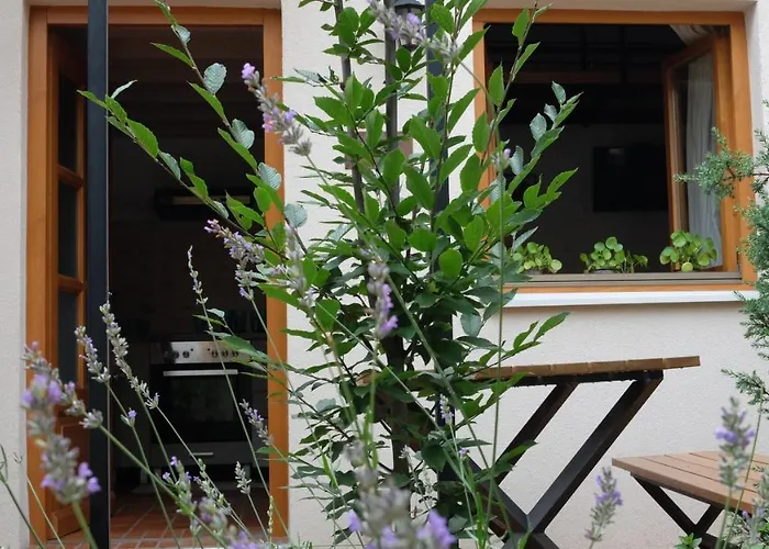 Kompleks Apartmana Superstar23a Soko Banja