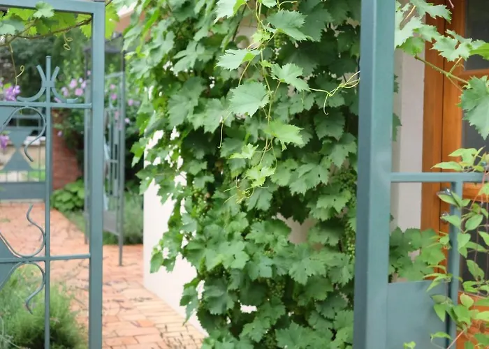 Kompleks Apartmana Superstar23a Apartman *