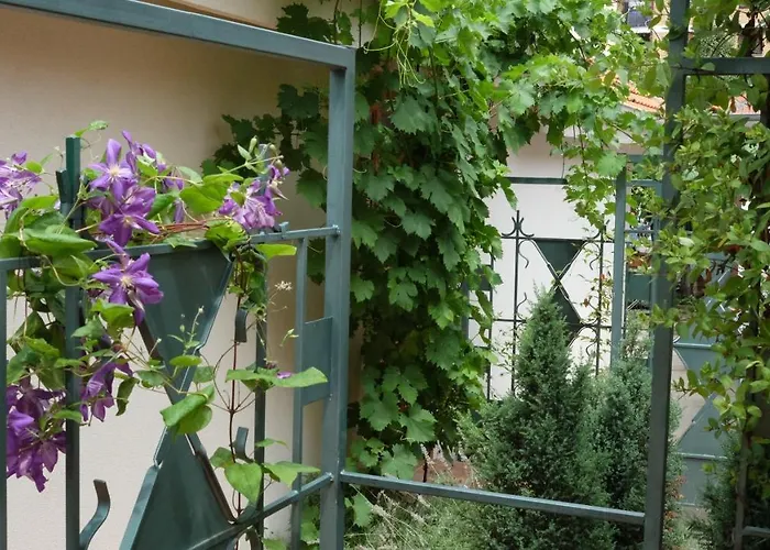 Kompleks Apartmana Superstar23a Soko Banja