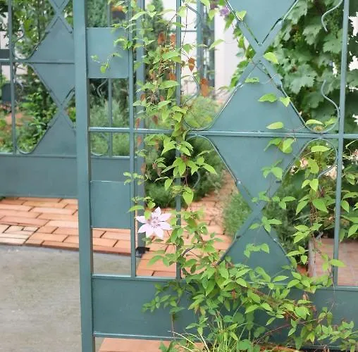 Kompleks Apartmana Superstar23a *