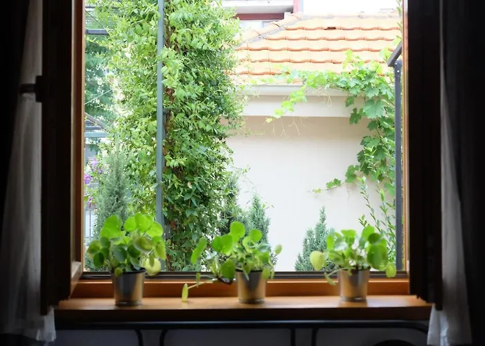 Kompleks Apartmana Superstar23a * Soko Banja